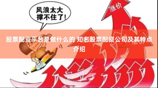 股票配资平台是做什么的 知名股票配资公司及其特点介绍